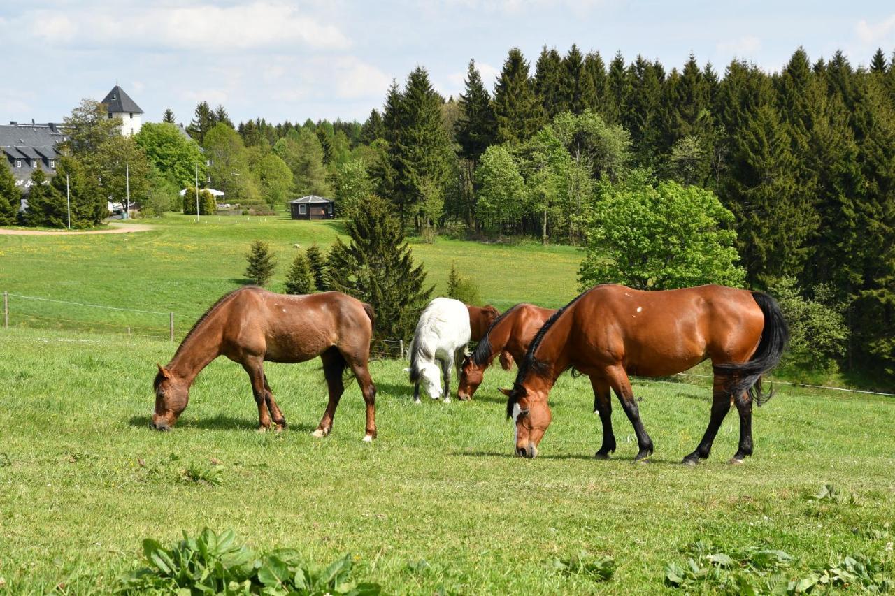 Landhotel Altes Zollhaus Hermsdorf  Luaran gambar