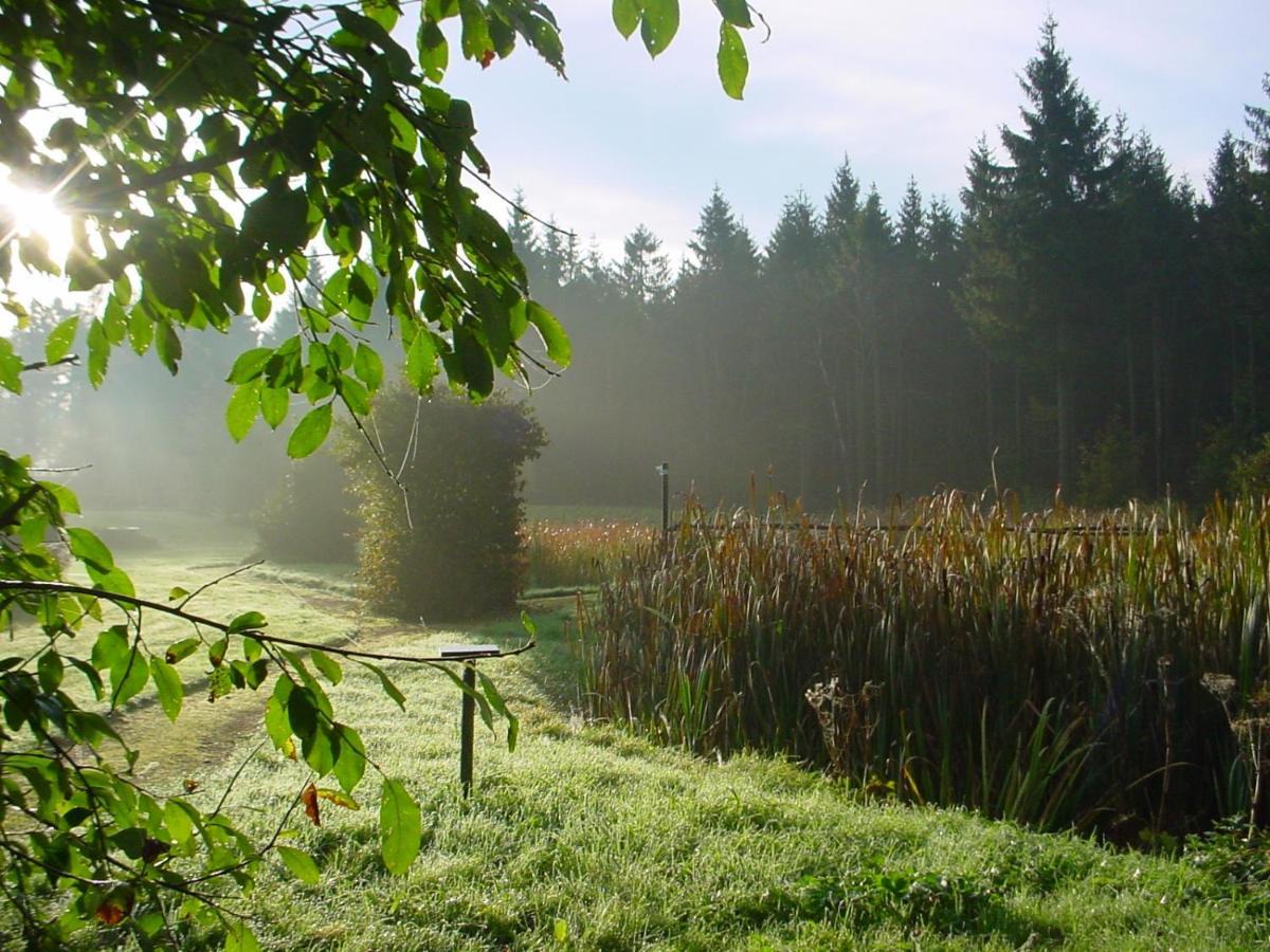 Landhotel Altes Zollhaus Hermsdorf  Luaran gambar